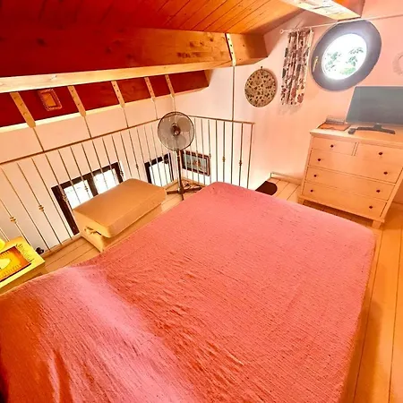 Leopardi In Centro A Daire Numana