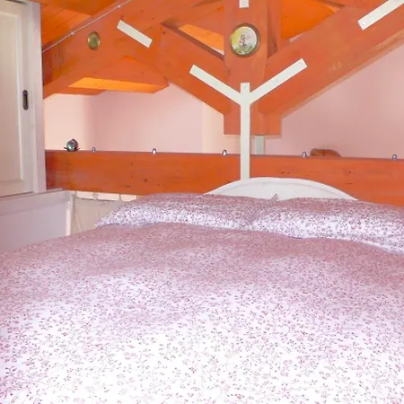 Leopardi In Centro A Numana